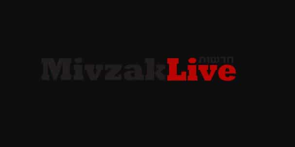 mivzaklive logo