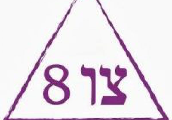 עצומה: מילואימניקים אומרים: תקראו לנו כשתחליטו לנצח